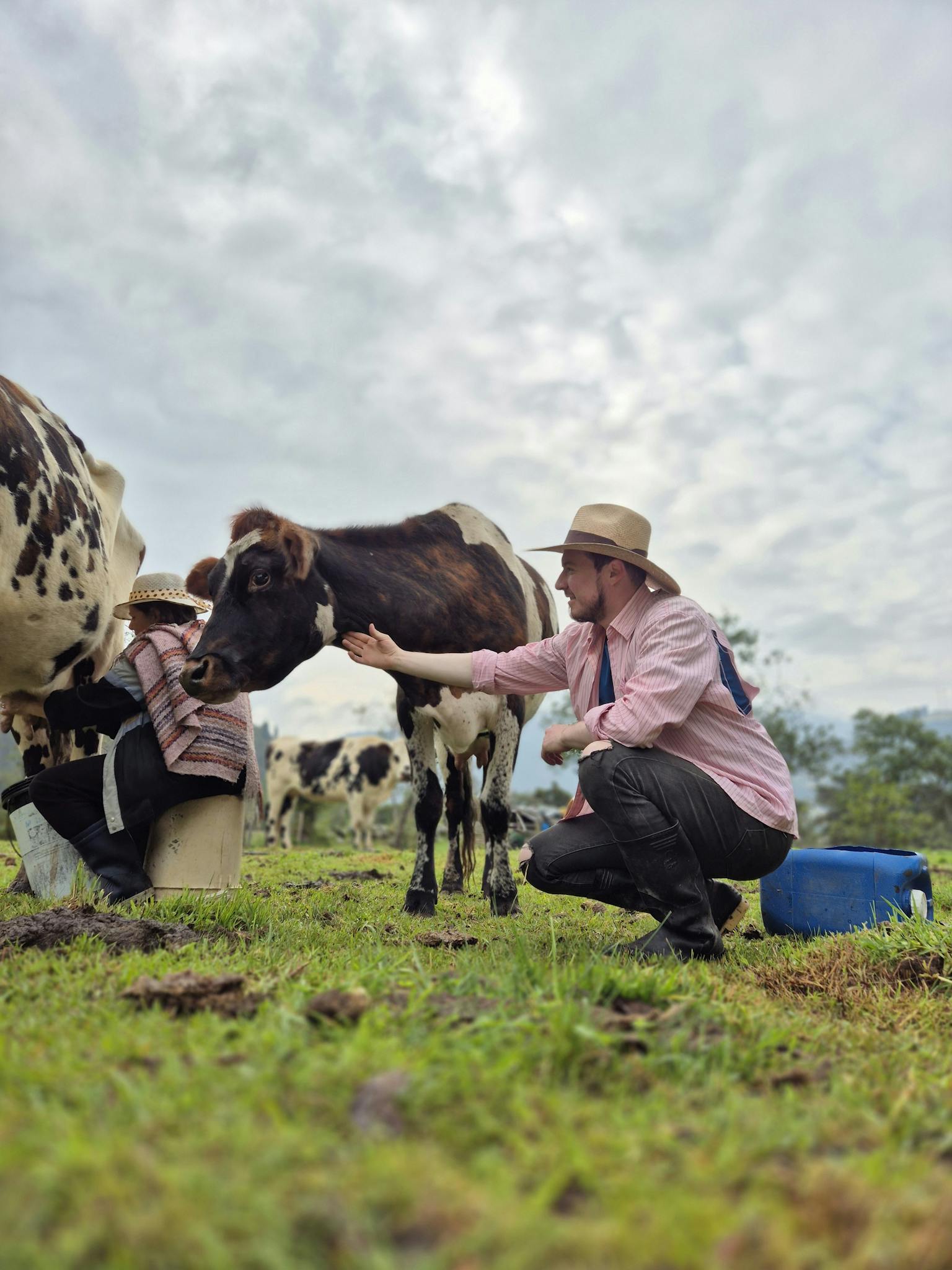 Male farmer tending to cows on a rural farm, showcasing pastoral life and animal care.