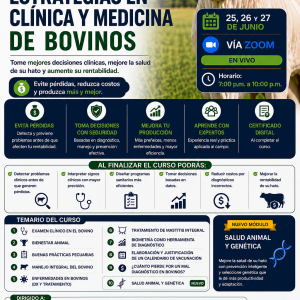 Estrategias en Clínica y Medicina de Bovinos