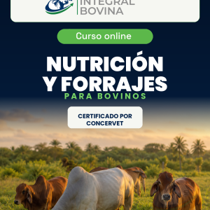 Nutrición y Forrajes para Bovinos