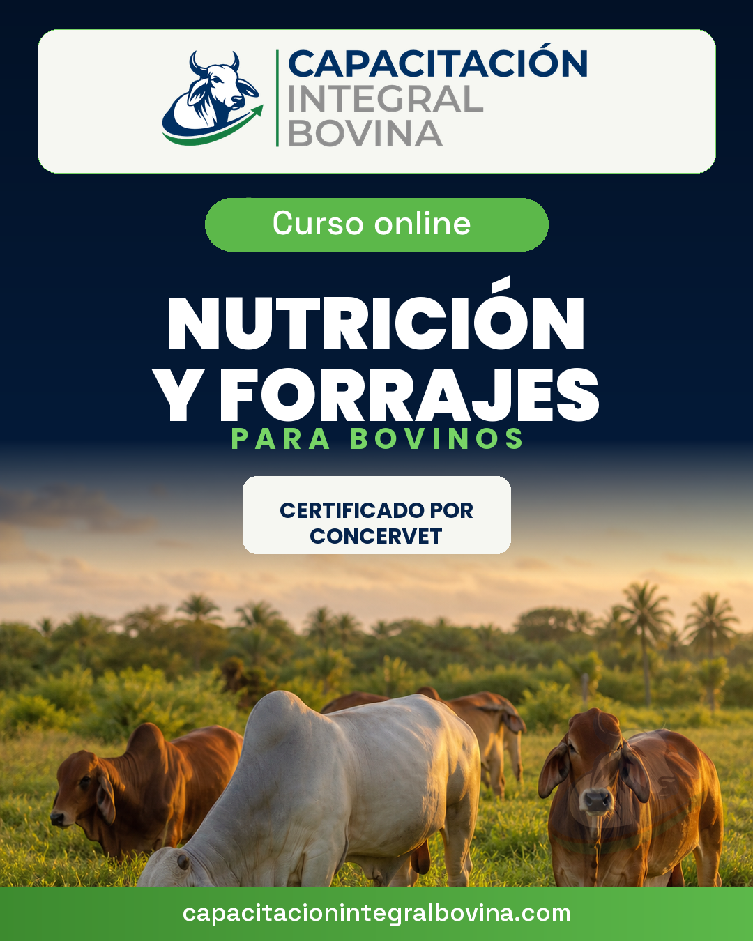 Nutrición y Forrajes para Bovinos