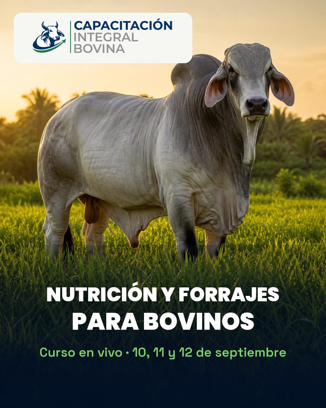 Nutrición y Forrajes para Bovinos - Image 6