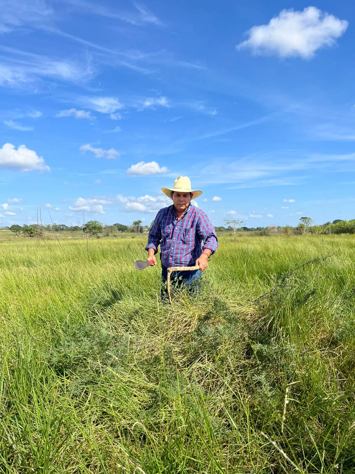 Jose, fundador de Academia CIB, de pie en el campo con ganado bovino de fondo