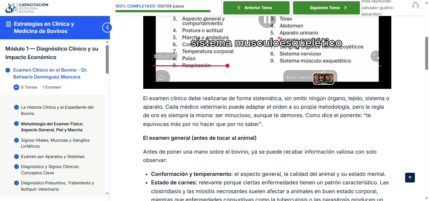 Captura de la plataforma de cursos en línea de Academia CIB, con módulos y avance del alumno