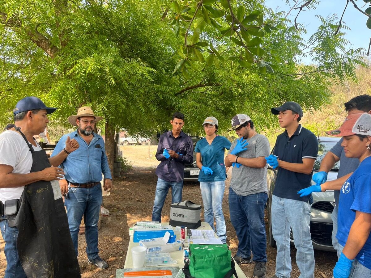 Equipo de trabajo preparándose para una evaluación clínica en campo, con material de diagnóstico sobre la mesa