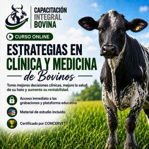 Estrategias en Clínica y Medicina de Bovinos